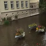 アパート Exklusive Im Herzen Der Altstadt エアフルト