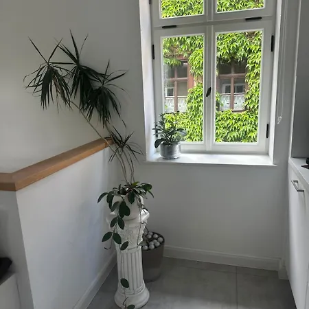 Apartman Exklusive Im Herzen Der Altstadt