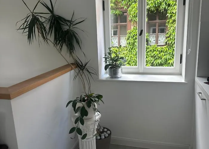 Apartment Exklusive Im Herzen Der Altstadt